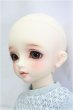 画像3: SDM女の子/コーディネートモデルF-50/BJD　球体関節人形 I-25-11-02-309-KD-ZI (3)
