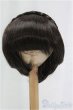 画像1: 8-9inch/ウィッグ I-25-11-09-055-KD-ZI (1)