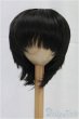 画像1: 8-9inch/ウィッグ I-25-11-09-051-KD-ZI (1)