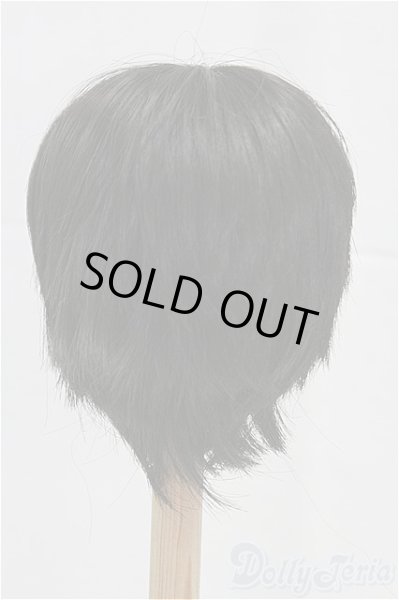 画像2: 8-9inch/ウィッグ I-25-11-09-051-KD-ZI (2)