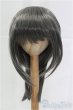 画像1: 8-9inch/ウィッグ I-25-11-09-059-KD-ZI (1)