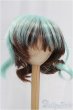 画像1: 9-10inch/ウィッグ I-25-11-09-062-KD-ZI (1)