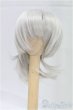 画像1: 6-7inch/ウィッグ I-25-11-09-068-KD-ZI (1)