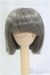 画像1: 6-7inch/ウィッグ I-25-11-09-069-KD-ZI (1)