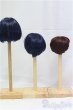 画像2: 9inch/ウィッグ※3点セット I-25-11-09-071-KD-ZI (2)