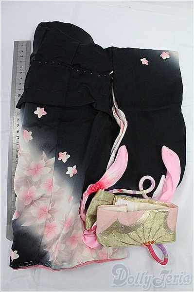 画像2: SDM＆MSD/OF:着物セット I-25-11-09-096-KD-ZI (2)