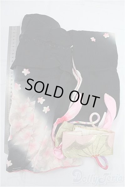 画像2: SDM＆MSD/OF:着物セット I-25-11-09-096-KD-ZI (2)