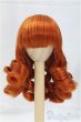 画像1: 6-7inch/ウィッグ　BJD　CROBI製 I-25-11-09-211-KD-ZI (1)
