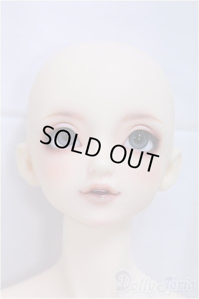 画像1: SDGrBOY/フルチョイス：F-85/BJD　球体関節人形 I-25-11-09-257-KD-ZI (1)