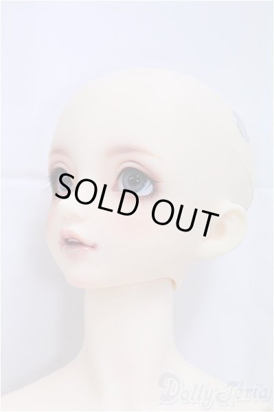 画像3: SDGrBOY/フルチョイス：F-85/BJD　球体関節人形 I-25-11-09-257-KD-ZI (3)