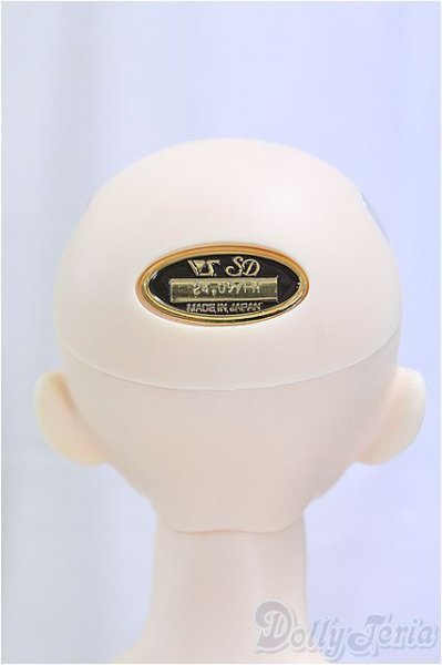 画像4: SDGrBOY/フルチョイス：F-85/BJD　球体関節人形 I-25-11-09-257-KD-ZI (4)