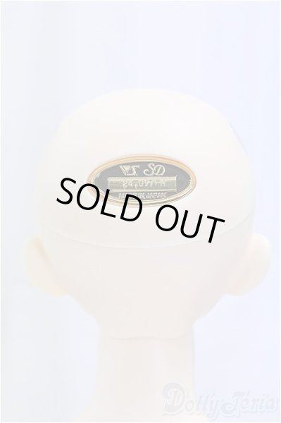 画像4: SDGrBOY/フルチョイス：F-85/BJD　球体関節人形 I-25-11-09-257-KD-ZI (4)