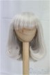 画像1: 7-8inch/ウィッグ/インチ　BJD　MJD　ドール用 I-25-11-09-288-KD-ZI (1)