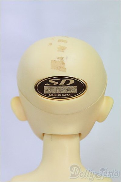 画像4: MSD男の子/フルチョイス:F-09/BJD　球体関節人形 I-25-11-09-259-KD-ZI (4)