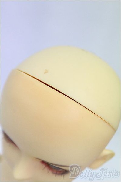 画像5: MSD男の子/フルチョイス:F-09/BJD　球体関節人形 I-25-11-09-259-KD-ZI (5)