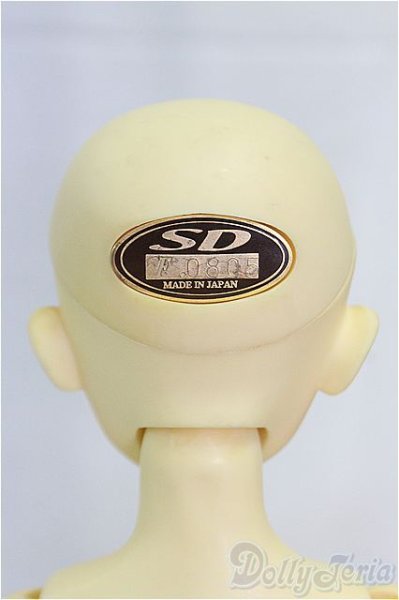 画像4: MSD女の子/フルチョイス:F-09/BJD　球体関節人形 I-25-11-09-260-KD-ZI (4)