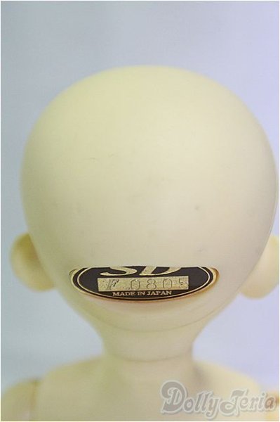 画像5: MSD女の子/フルチョイス:F-09/BJD　球体関節人形 I-25-11-09-260-KD-ZI (5)