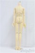 画像2: SDGrBOY/ボディ/BJD　球体関節人形 I-25-11-09-258-KD-ZI (2)