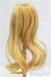 画像2: 8.5-9inch/ウィッグ/インチ　BJD　MJD　ドール用 I-25-11-23-016-KD-ZI (2)