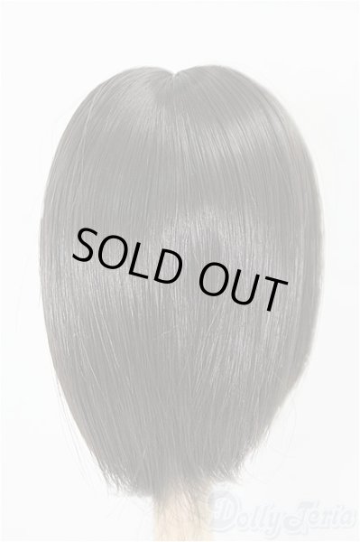 画像2: 6-7inch/ウィッグ/インチ　BJD　MJD　ドール用 I-25-11-23-110-KD-ZI (2)