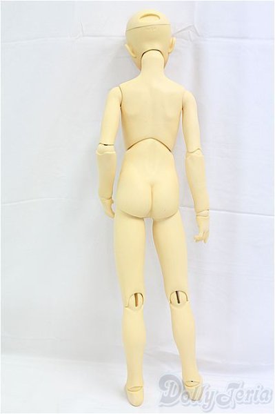 画像6: SD13BOY/教室Aヘッド＋SD13ボディ I-25-11-23-052-KD-ZI (6)