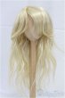 画像1: 9-10inch/ウィッグ/インチ　BJD　MJD　ドール用 I-25-11-23-186-KD-ZI (1)