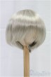 画像1: 9-10inch/ウィッグ/インチ　BJD　MJD　ドール用 I-25-11-23-187-KD-ZI (1)