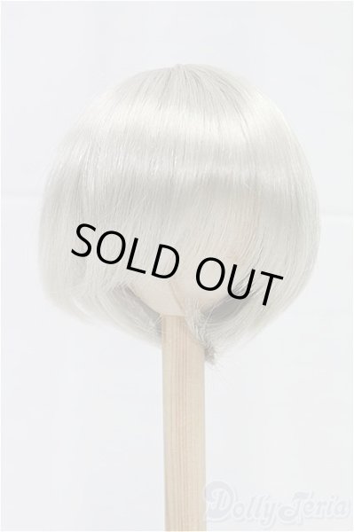 画像1: 9-10inch/ウィッグ/インチ　BJD　MJD　ドール用 I-25-11-23-187-KD-ZI (1)