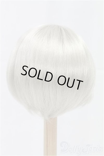 画像2: 9-10inch/ウィッグ/インチ　BJD　MJD　ドール用 I-25-11-23-187-KD-ZI (2)