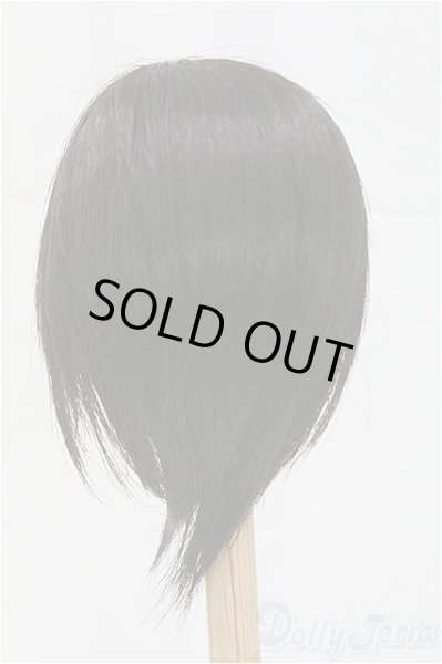 画像2: 8-9inch/ウィッグ/インチ　BJD　MJD　ドール用 I-25-11-23-189-KD-ZI (2)