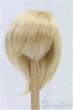 画像1: 8-9inch/ウィッグ/インチ　BJD　MJD　ドール用 I-25-11-23-190-KD-ZI (1)