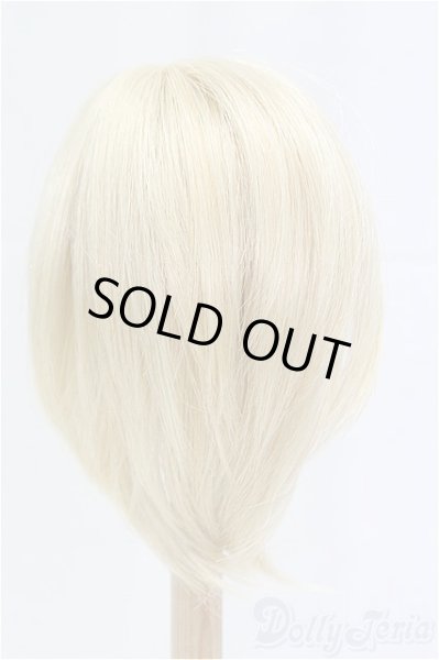 画像2: 8-9inch/ウィッグ/インチ　BJD　MJD　ドール用 I-25-11-23-190-KD-ZI (2)