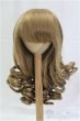 画像1: 9-10inch/ウィッグ/インチ　BJD　MJD　ドール用 I-25-11-23-191-KD-ZI (1)
