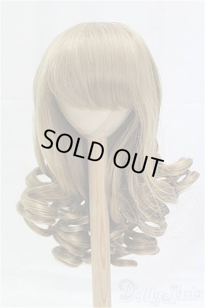 画像1: 9-10inch/ウィッグ/インチ　BJD　MJD　ドール用 I-25-11-23-191-KD-ZI (1)