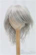 画像1: 9-10inch/ウィッグ/インチ　BJD　MJD　ドール用 I-25-11-23-193-KD-ZI (1)