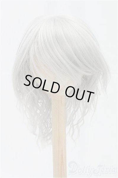 画像1: 9-10inch/ウィッグ/インチ　BJD　MJD　ドール用 I-25-11-23-193-KD-ZI (1)