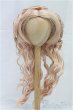 画像1: 9-10inch/ウィッグ/インチ　BJD　MJD　ドール用 I-25-11-23-195-KD-ZI (1)