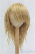 画像1: 9-10inch/ウィッグ/インチ　BJD　MJD　ドール用 I-25-11-23-197-KD-ZI (1)