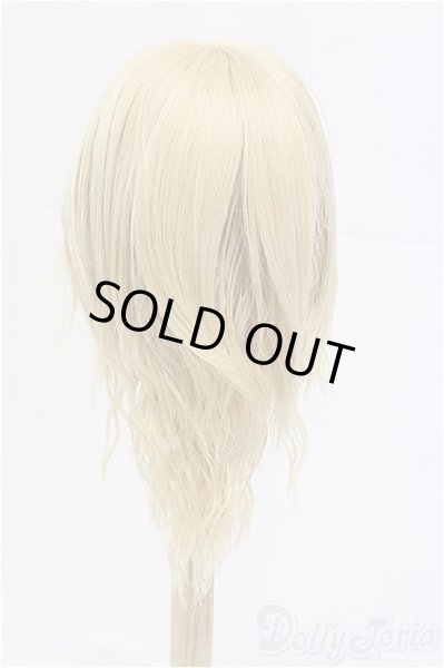 画像2: 9-10inch/ウィッグ/インチ　BJD　MJD　ドール用 I-25-11-23-197-KD-ZI (2)