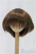 画像1: 9-10inch/ウィッグ/インチ　BJD　MJD　ドール用 I-25-11-23-199-KD-ZI (1)