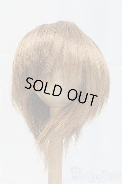 画像1: 8-9inch/ウィッグ/インチ　BJD　MJD　ドール用 I-25-11-23-200-KD-ZI (1)