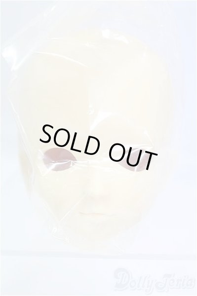 画像2: SD/教室Ｂヘッド I-25-11-23-201-KD-ZI (2)