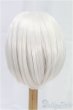画像2: 8-9inch/ウィッグ/インチ　BJD　MJD　ドール用 I-25-11-23-183-KD-ZI (2)