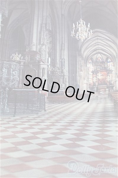 画像3: SD/背景布 I-25-11-23-300-KD-ZI (3)