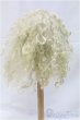 画像2: 9-10inch/モヘアウィッグ/インチ　BJD　MJD　ドール用 I-25-11-30-155-KD-ZI (2)