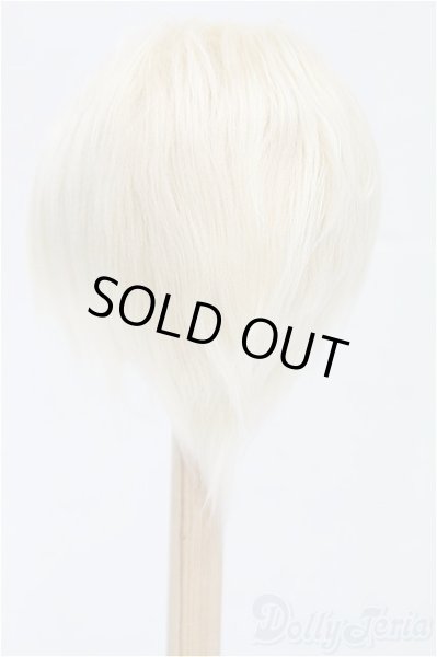 画像2: 9inch/ウィッグ/インチ　BJD　MJD　ドール用 I-25-11-30-150-KD-ZI (2)