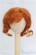 画像1: 6-7inch/ウィッグ/インチ　BJD　MJD　ドール用 I-25-11-30-165-KD-ZI (1)