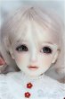 画像1: DearSD/ちよ/BJD　球体関節人形 I-25-11-30-292-KD-ZI (1)