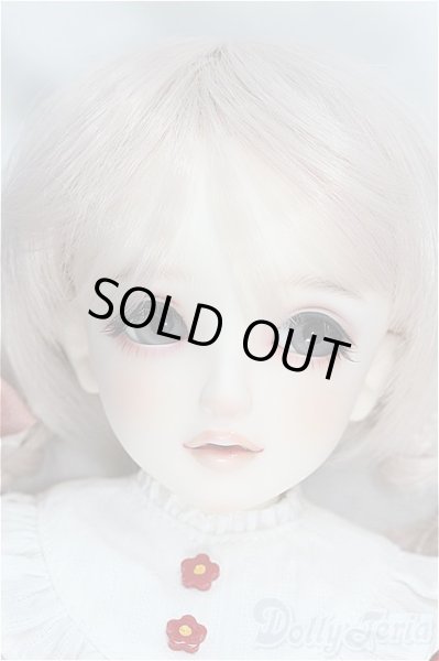 画像1: DearSD/ちよ/BJD　球体関節人形 I-25-11-30-292-KD-ZI (1)