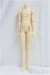 画像1: SD17BOY/ボディ/BJD　球体関節人形 I-25-11-30-290-KD-ZI (1)